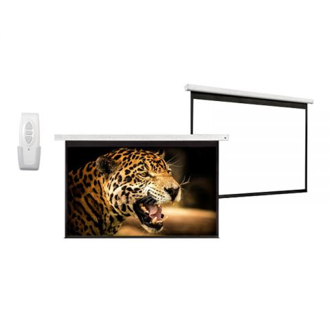 Venova Motorized Projection Screen 60" x 60"